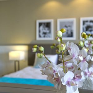 Salini Otel Konaklama (6)